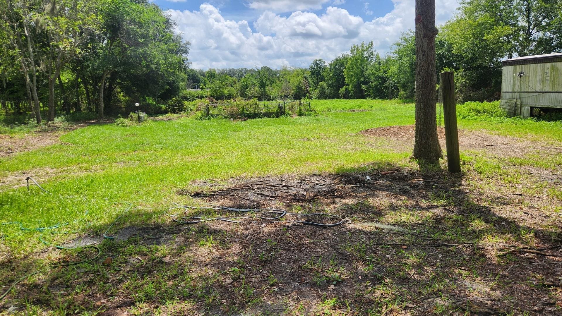 9680 Luther Beck Road Hastings, FL 32145 - Photo 2 of 24 a view of a trees in a yard