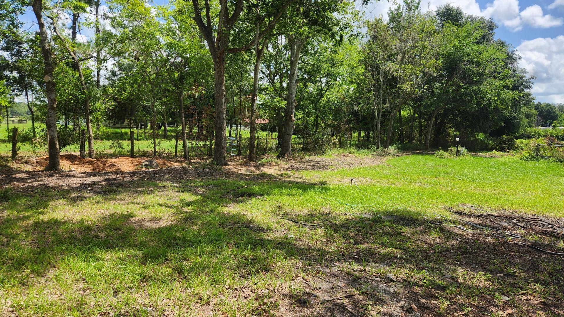 9680 Luther Beck Road Hastings, FL 32145 - Photo 6 of 24 a backyard of a house with lots of green space
