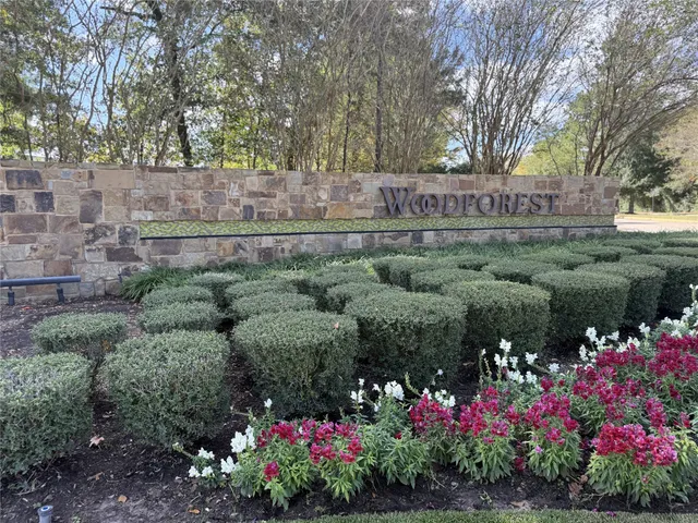 a picture of flowers