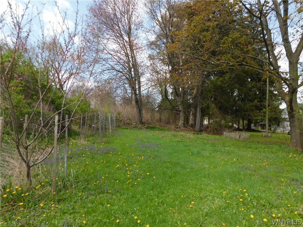 7 Vorhis Friendship, NY 14739 - Photo 17 of 50