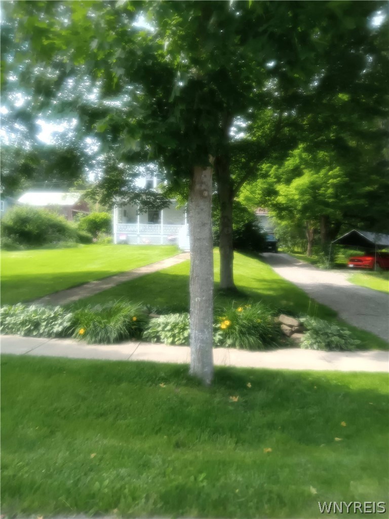 7 Vorhis Friendship, NY 14739 - Photo 4 of 50