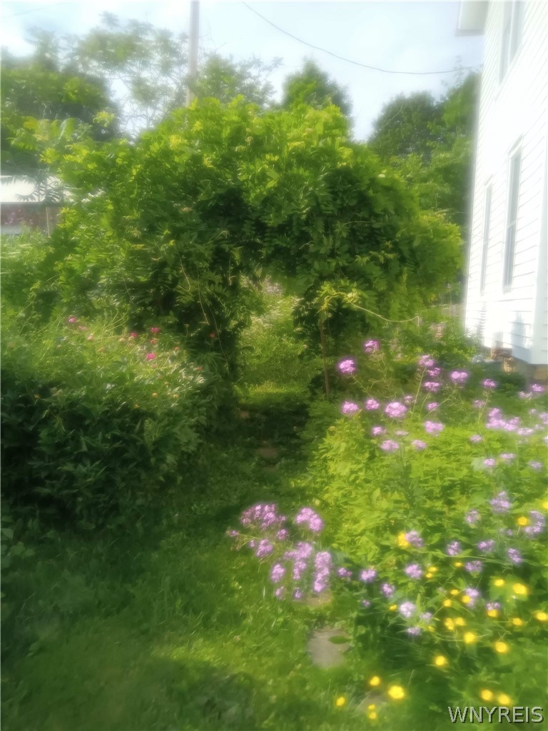 7 Vorhis Friendship, NY 14739 - Photo 46 of 50