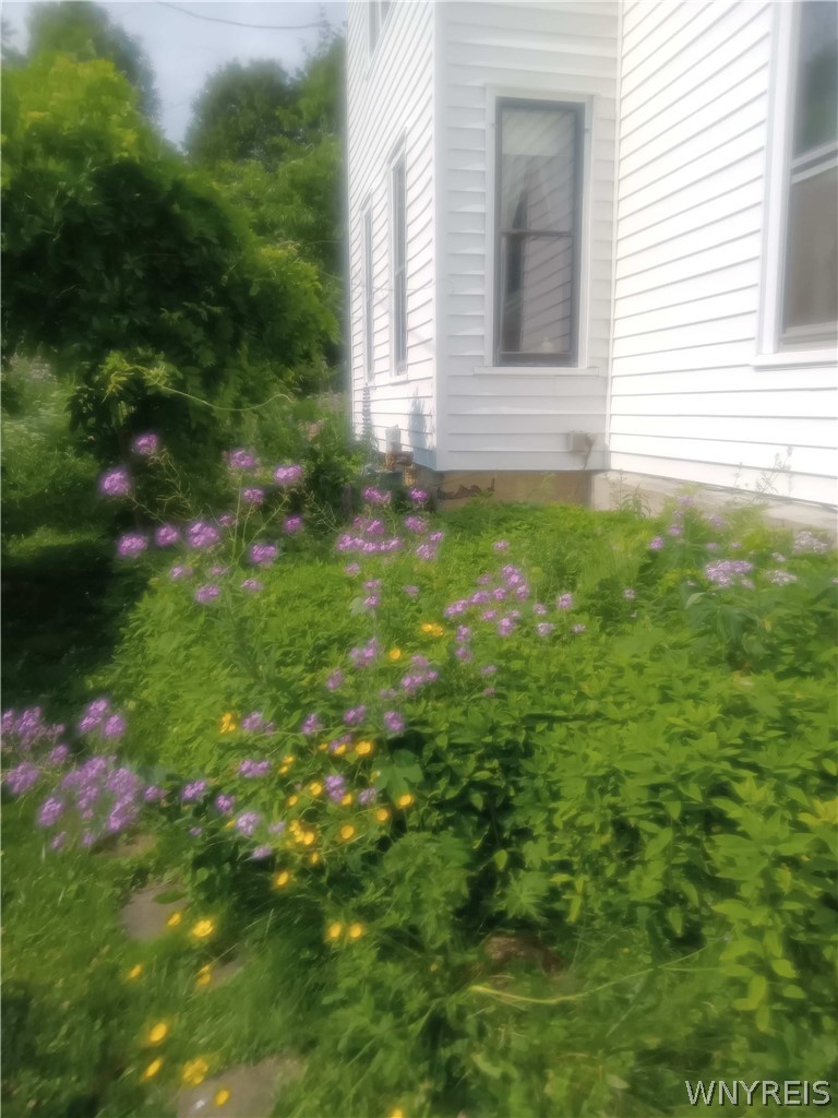 7 Vorhis Friendship, NY 14739 - Photo 49 of 50