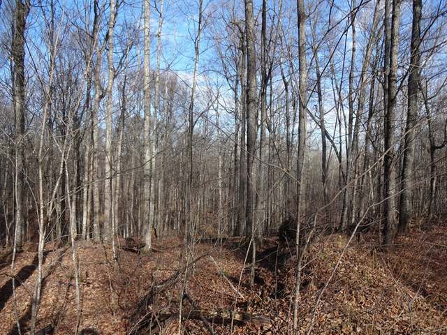 Near Near Swan Road Crystal Falls, MI 49920 - Photo 2 of 3 Gallery Image 2