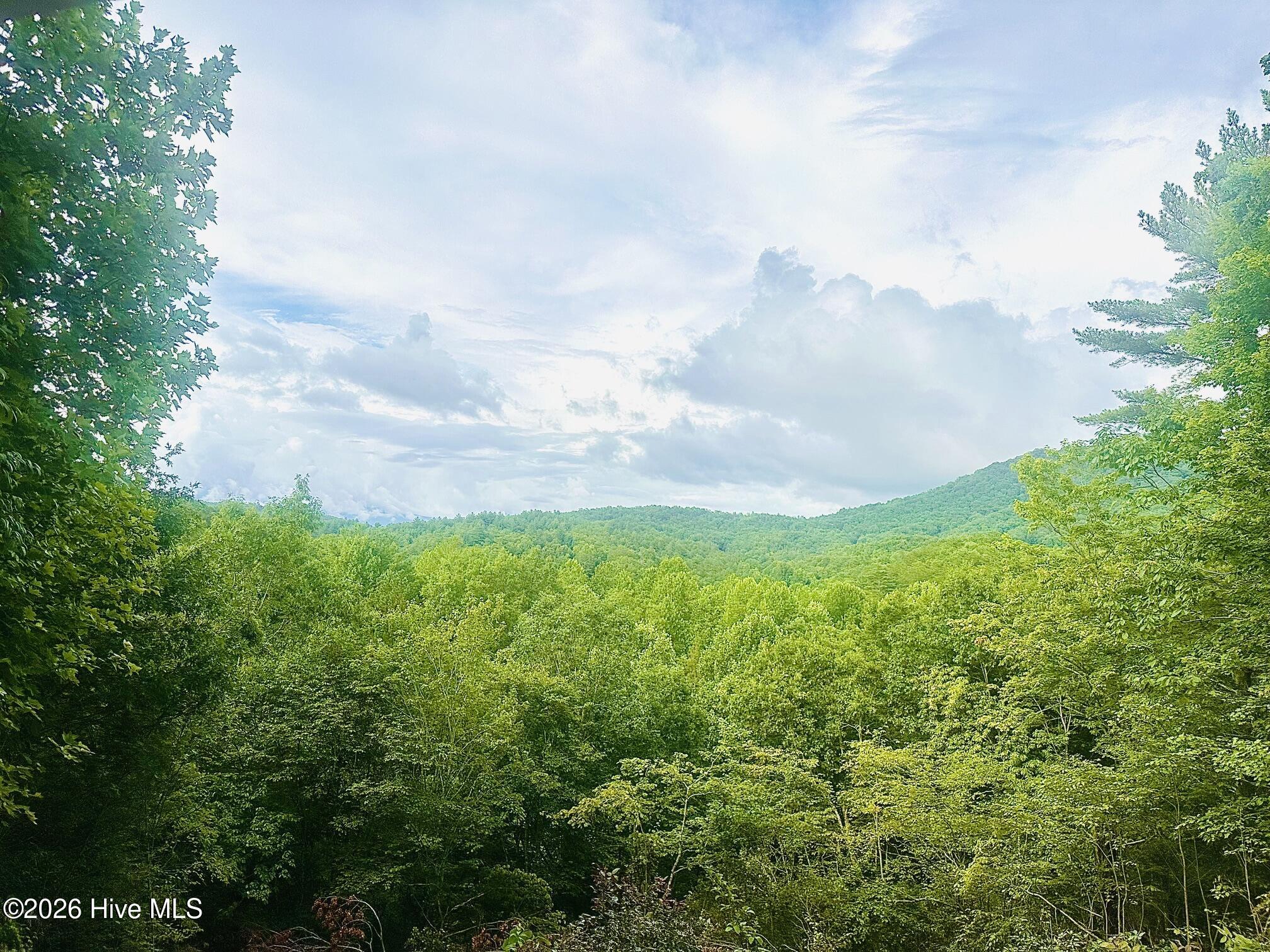 88 Upper Ridge Road Marble, NC 28905 - Photo 4 of 41