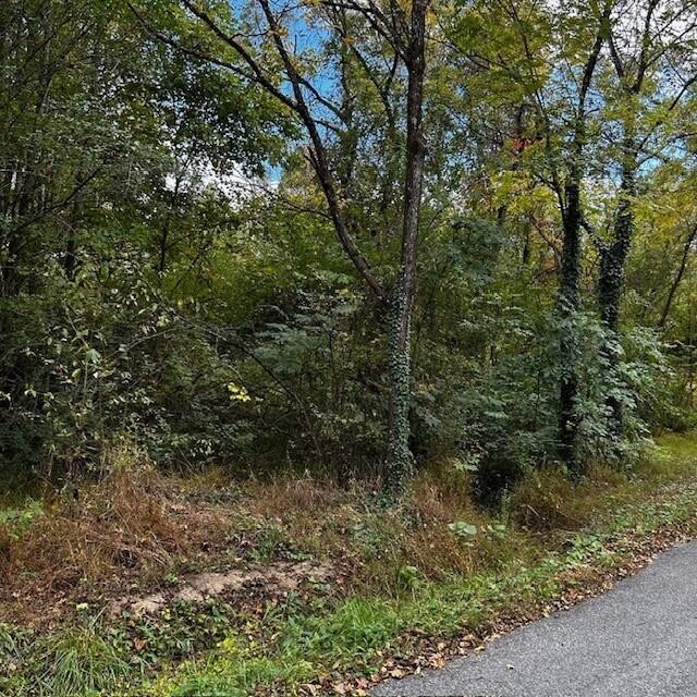 288 Logtown Road Dayton, TN 37321 - Photo 12 of 17 a view of a forest with trees in the background