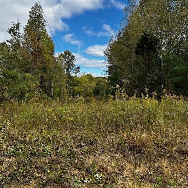 288 Logtown Road Dayton, TN 37321 - Photo 14 of 17 a view of lake with green space
