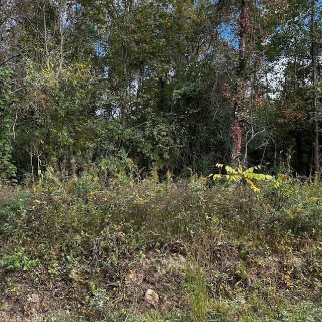288 Logtown Road Dayton, TN 37321 - Photo 15 of 17 a view of outdoor space and yard