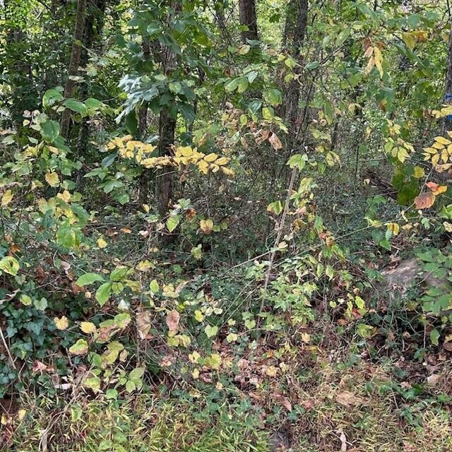288 Logtown Road Dayton, TN 37321 - Photo 4 of 17 a view of a tree