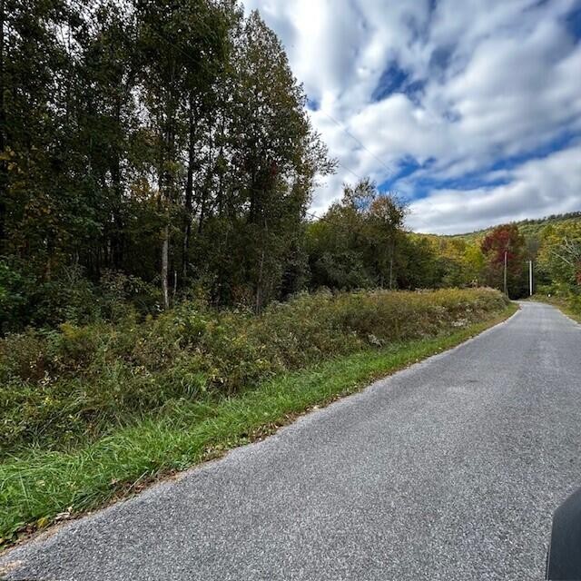288 Logtown Road Dayton, TN 37321 - Photo 8 of 17 a view of a rural road with plants and trees