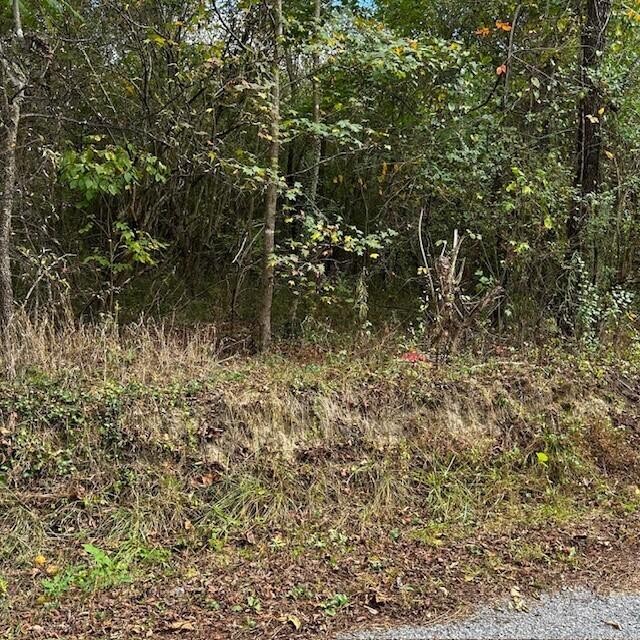 288 Logtown Road Dayton, TN 37321 - Photo 10 of 17 a view of a lake view