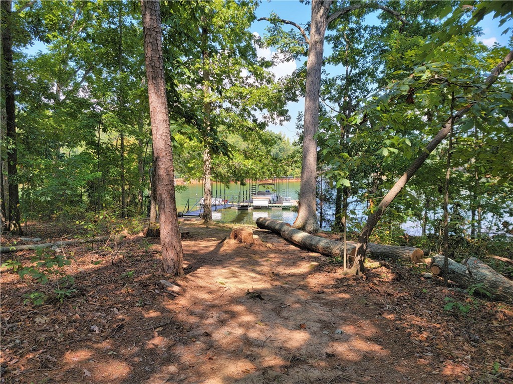 525 Broyles Point Road Townville, SC 29689 - Photo 13 of 48 walkway to dock
