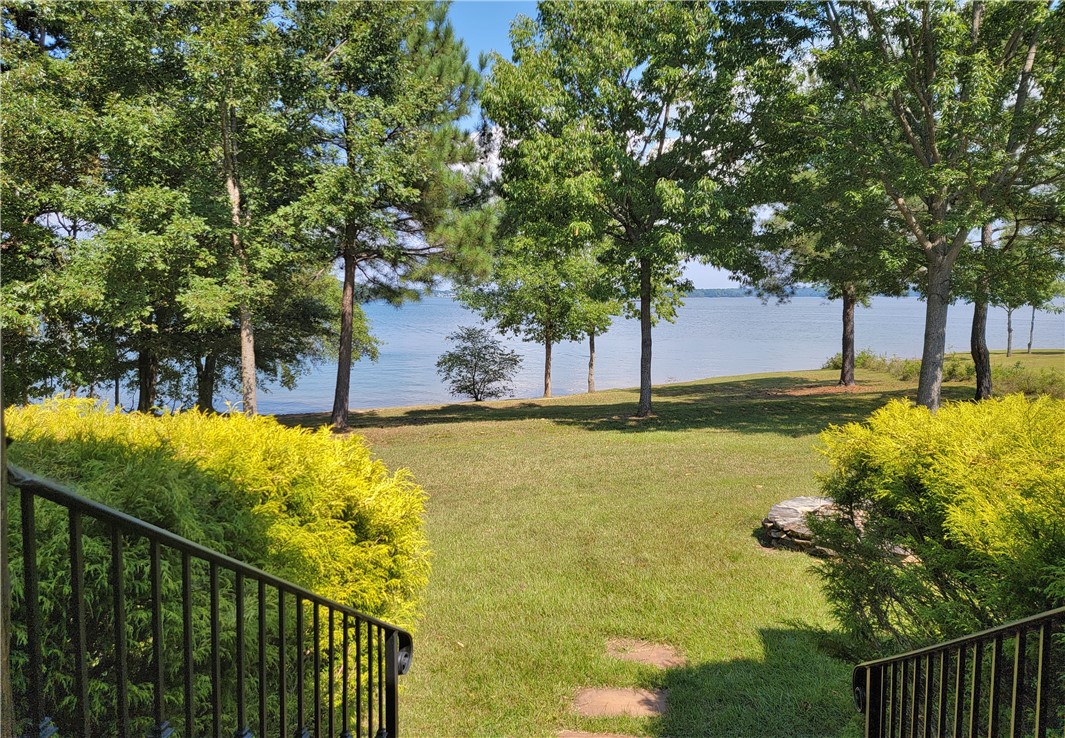 525 Broyles Point Road Townville, SC 29689 - Photo 9 of 48 View from Back Porch