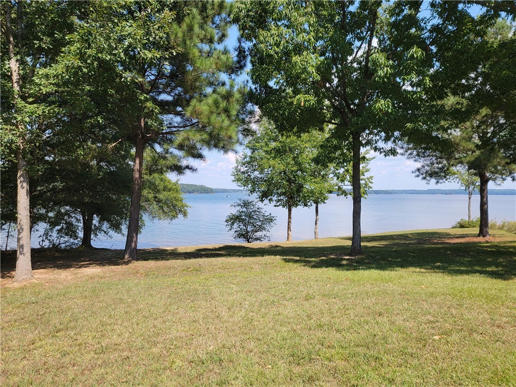525 Broyles Point Road Townville, SC 29689 - Photo 10 of 48 Gallery Image 10