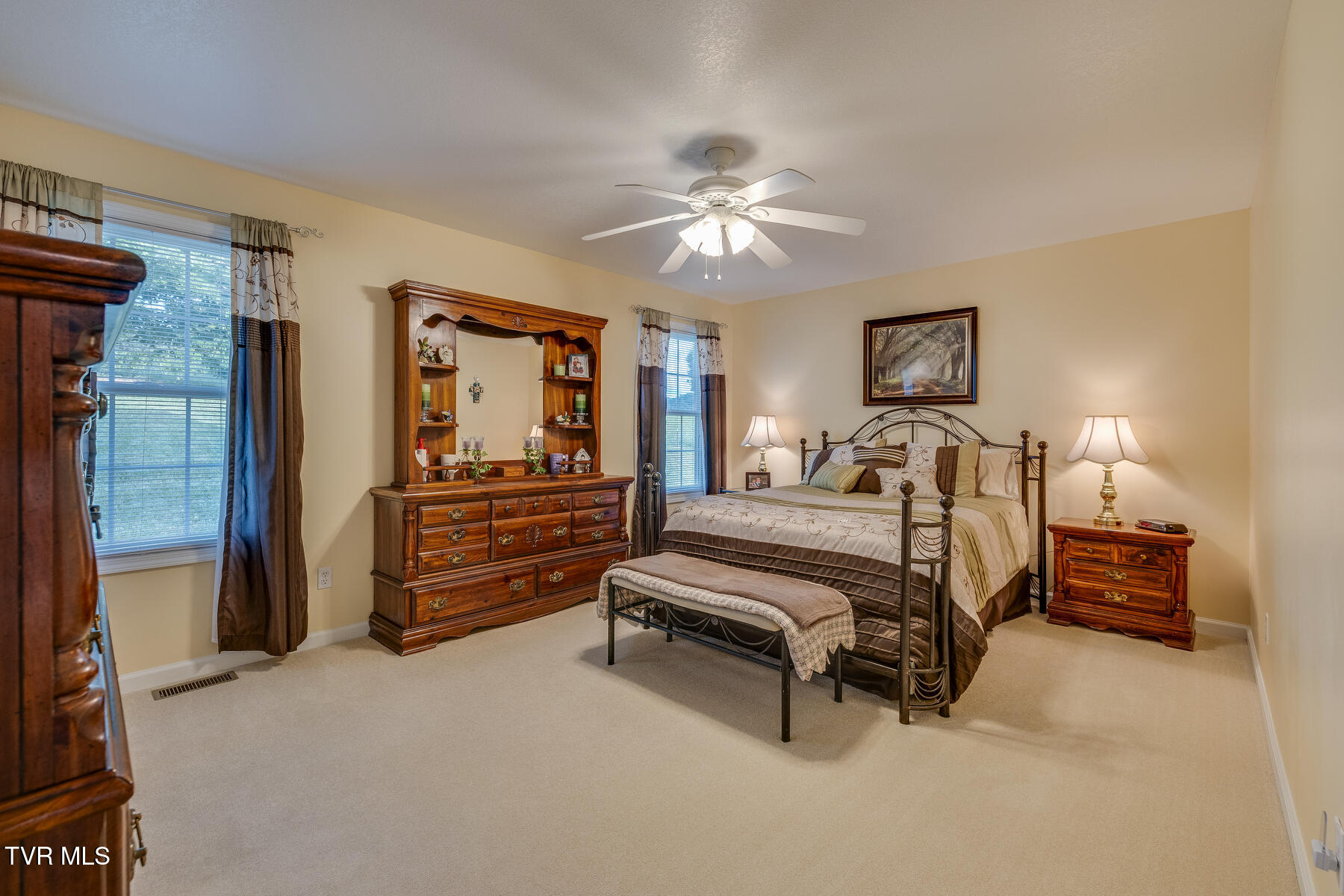 463 Pine Ridge Drive Afton, TN 37616 - Photo 15 of 43 013
