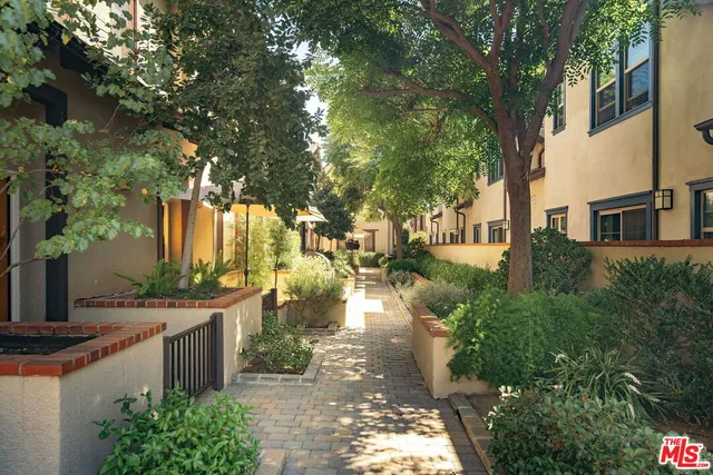 a view of a yard with plants and large trees