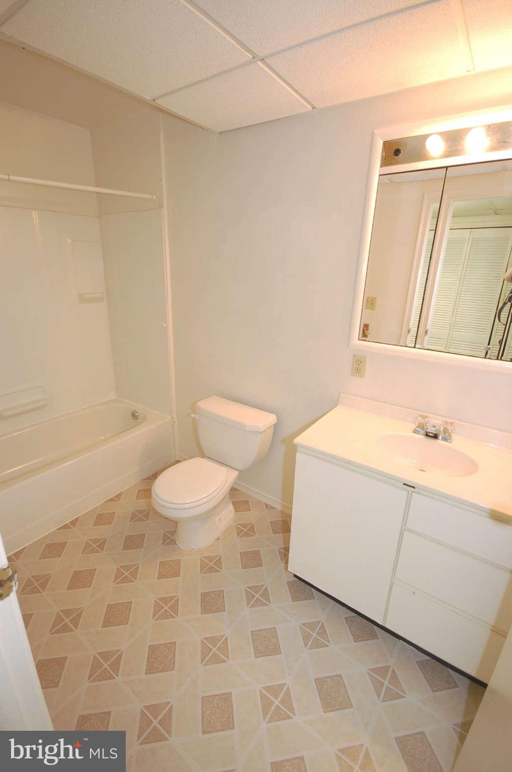 3132 Castleleigh Road Silver Spring, MD 20904 - Photo 19 of 25 a bathroom with a bathtub and a toilet