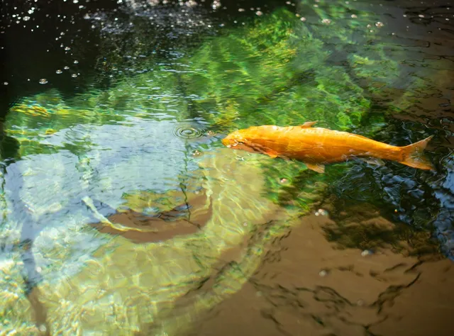 $650,000 | 21255 Ruscello Lane, Friant, CA 93626