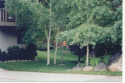 2 Riverside Road Avon, CO 81620 - Photo 3 of 3 Additional Photo