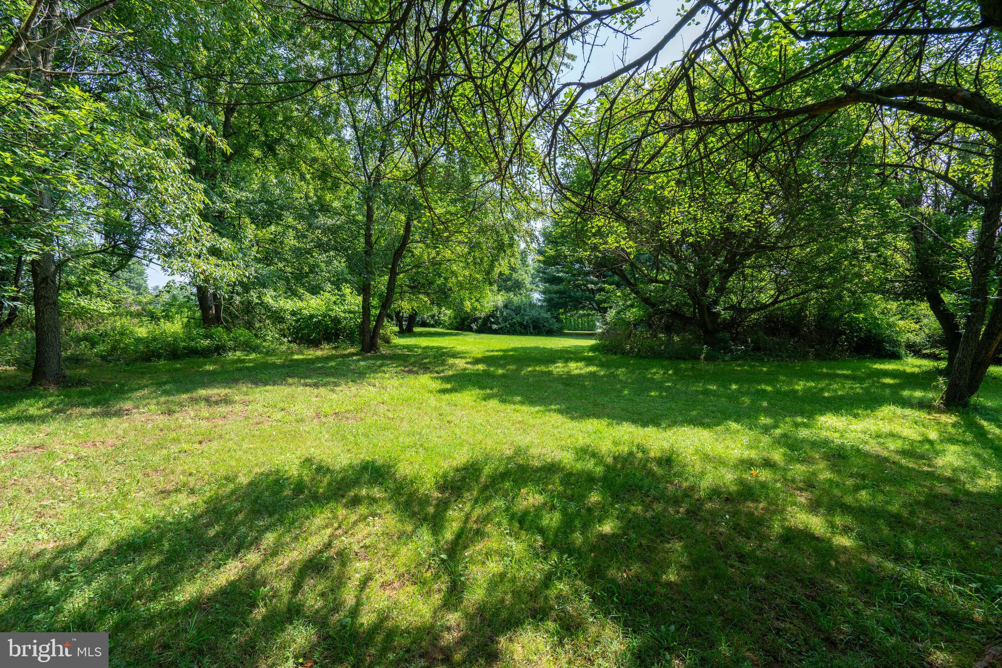 1029 Hosensack Road Palm, PA 18070 - Photo 36 of 46 Wooded and cleared area behind back yard.