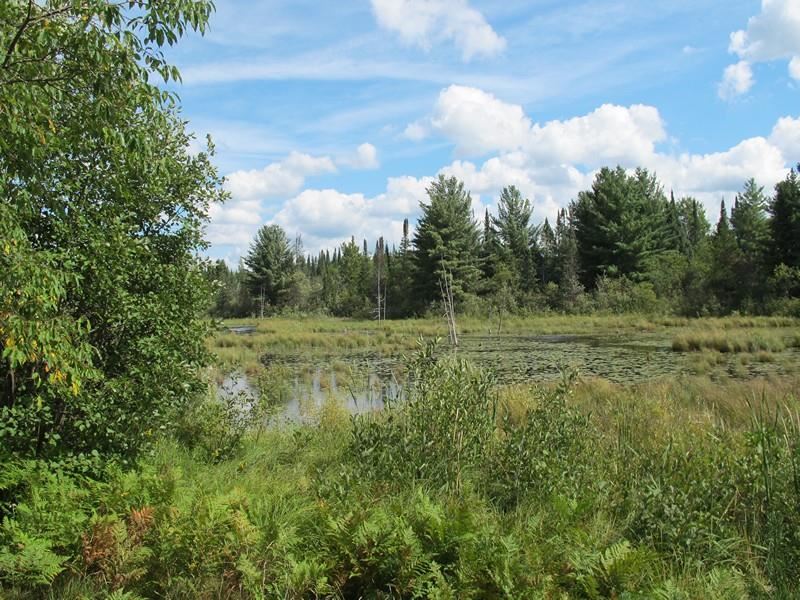 10948 Beaver Pond Road Frederic, MI 49733 - Photo 15 of 52 1790314-14.JPG