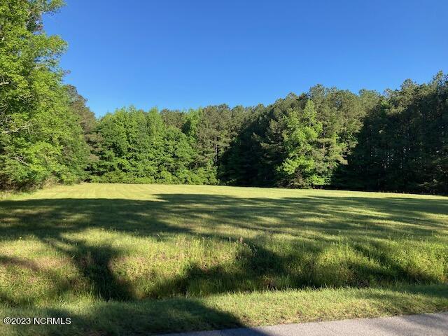 1572 Rouse Road Kinston, NC 28504 - Photo 1 of 2 View from Street