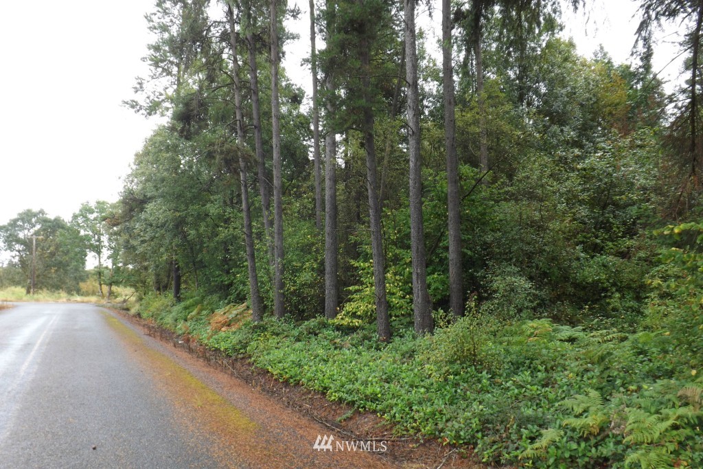0 Gray Road, Unit LOT 7 Toledo, WA 98591 - Photo 1 of 9 Gallery Image 1