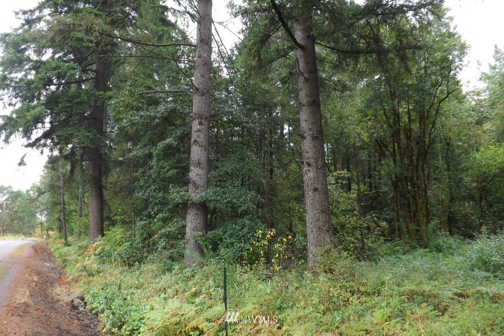 0 Gray Road, Unit LOT 7 Toledo, WA 98591 - Photo 3 of 9 Gallery Image 3