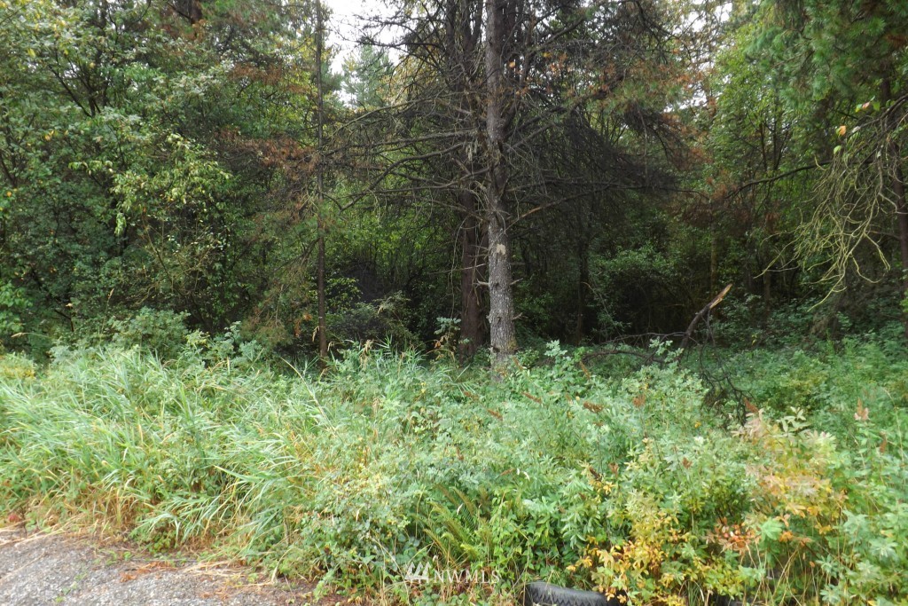 0 Gray Road, Unit LOT 7 Toledo, WA 98591 - Photo 6 of 9 Gallery Image 6