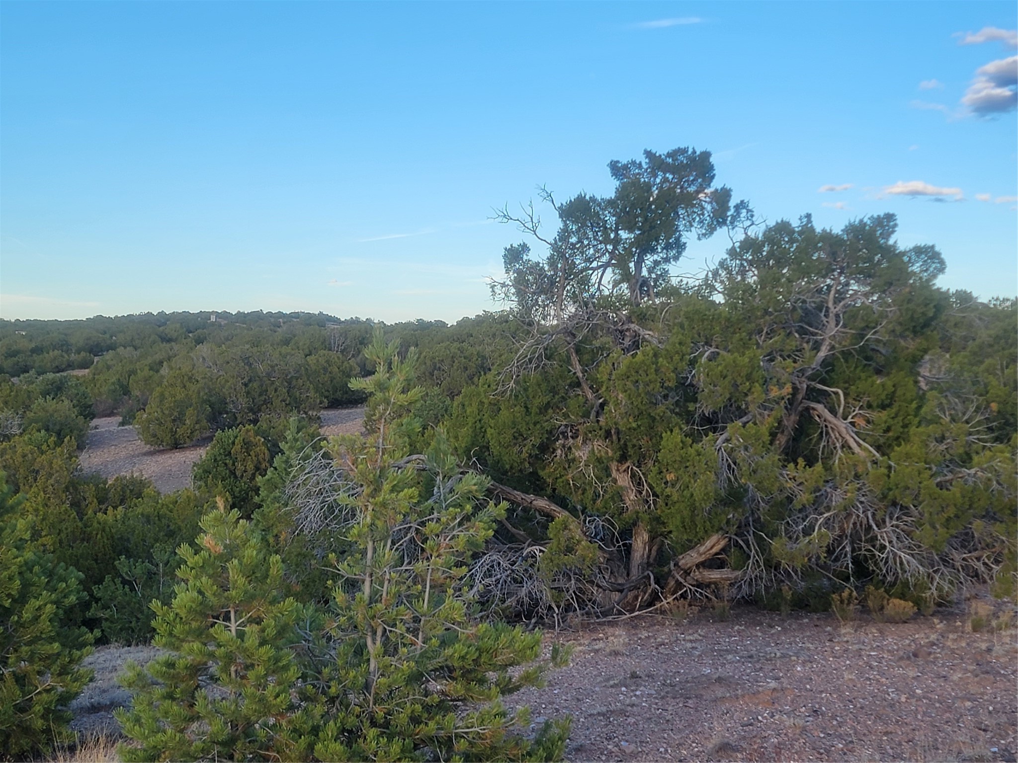 218 Horny Toad Road Cerrillos, NM 87010 - Photo 16 of 16