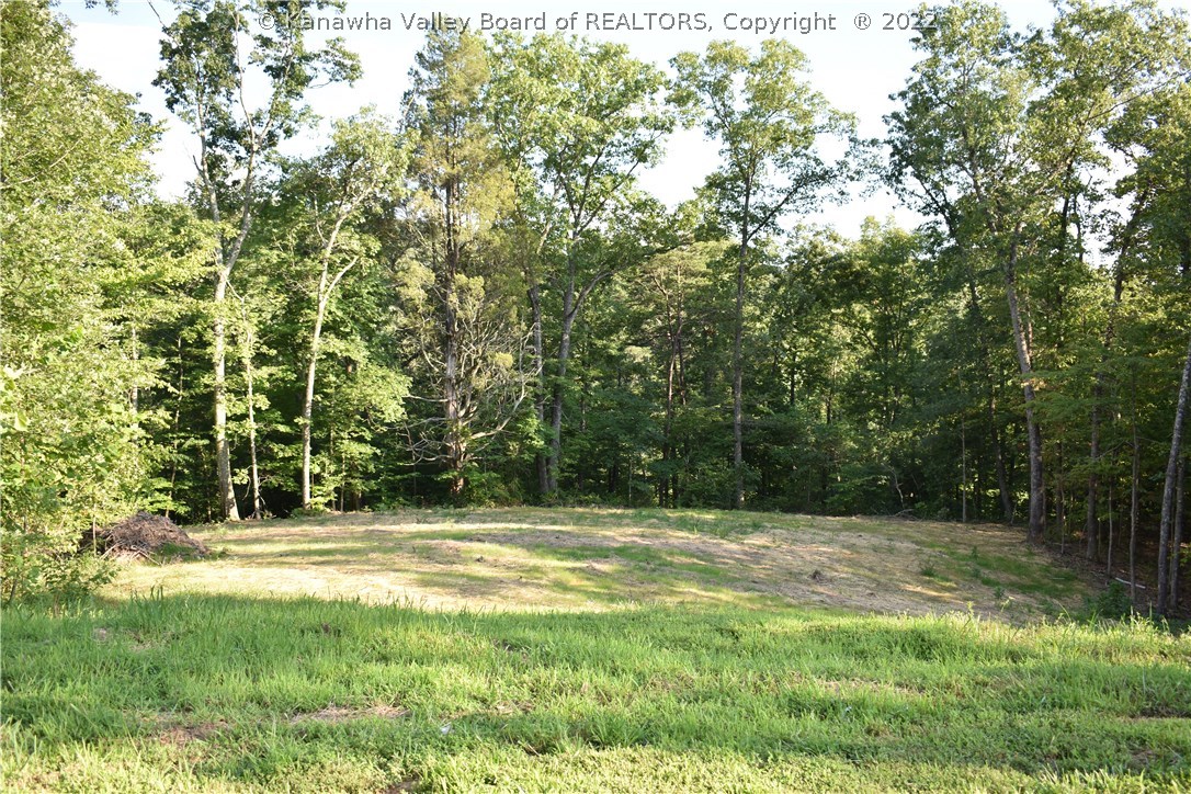 70 Brantley Drive Winfield, WV 25213 - Photo 3 of 3 Lots of wildlife! Backs up to woods! Very private!