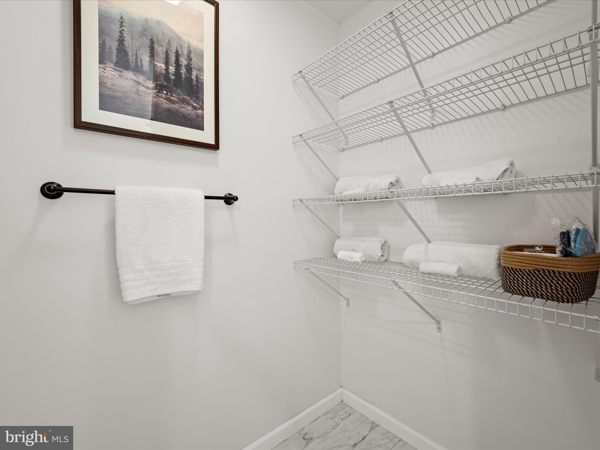 8650 Supinlick Ridge Road Mount Jackson, VA 22842 - Photo 23 of 62 a bathroom with a shower