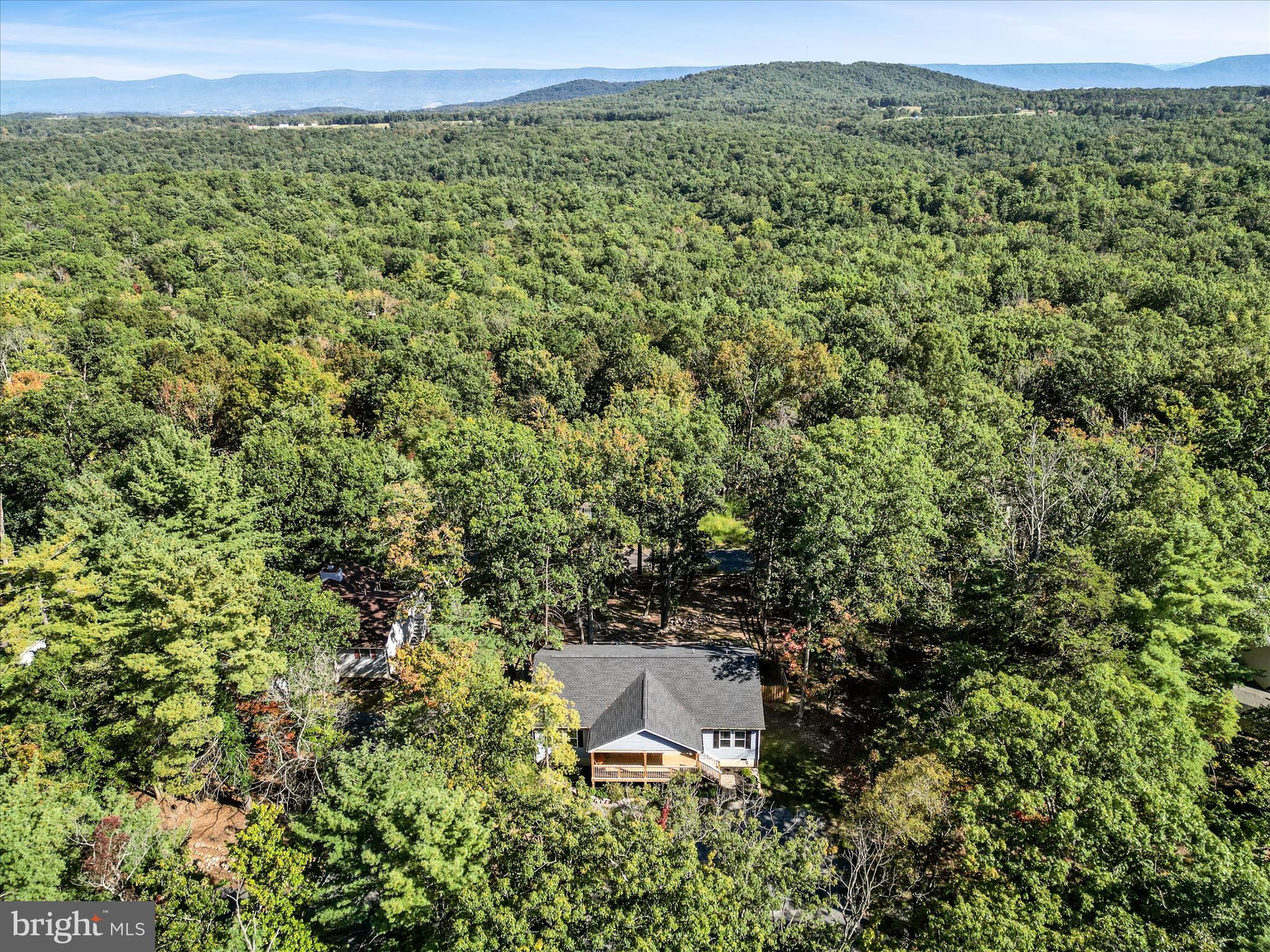 8650 Supinlick Ridge Road Mount Jackson, VA 22842 - Photo 40 of 62 an aerial view of a house with a yard