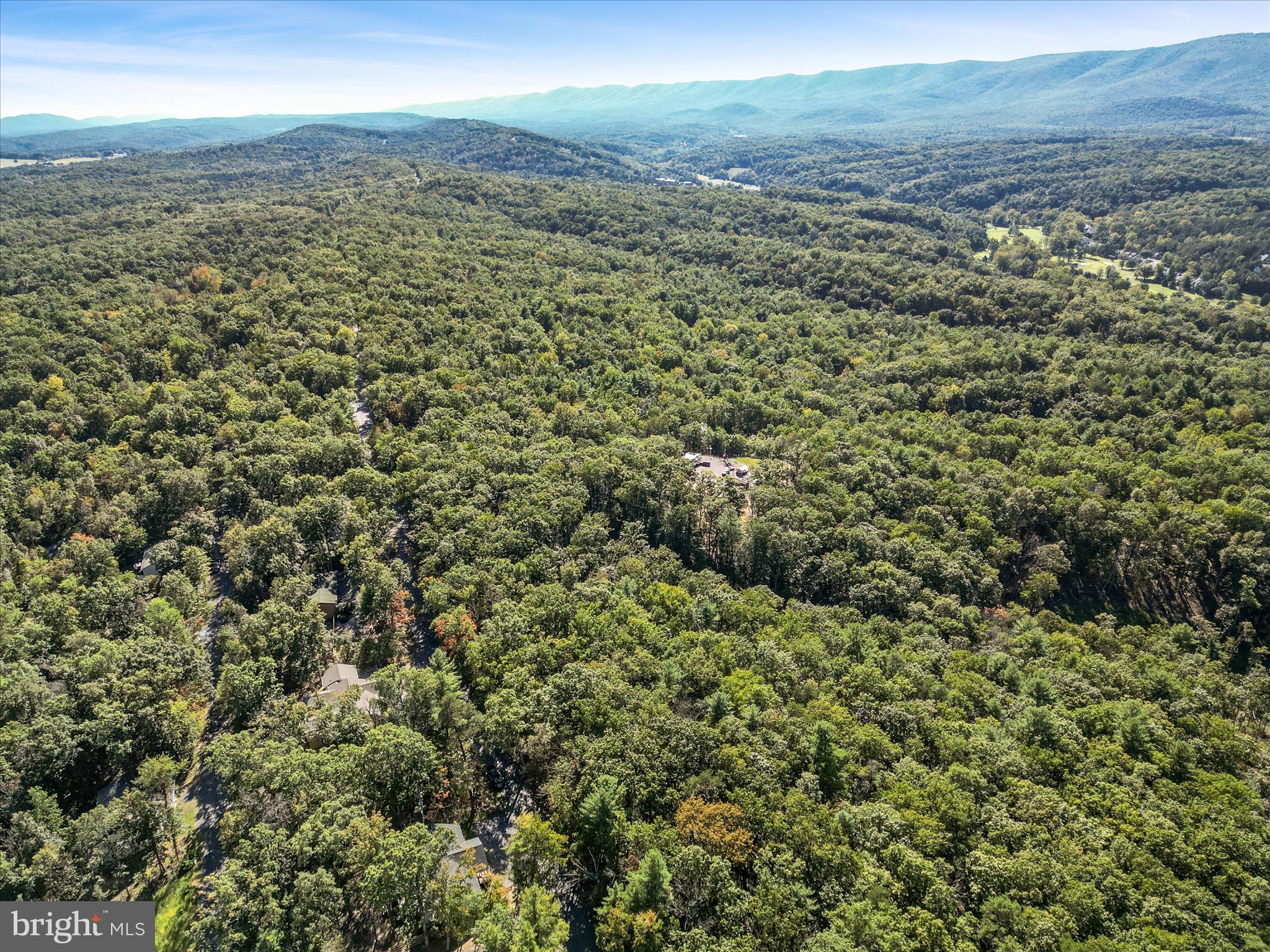 8650 Supinlick Ridge Road Mount Jackson, VA 22842 - Photo 41 of 62 a view of a green field
