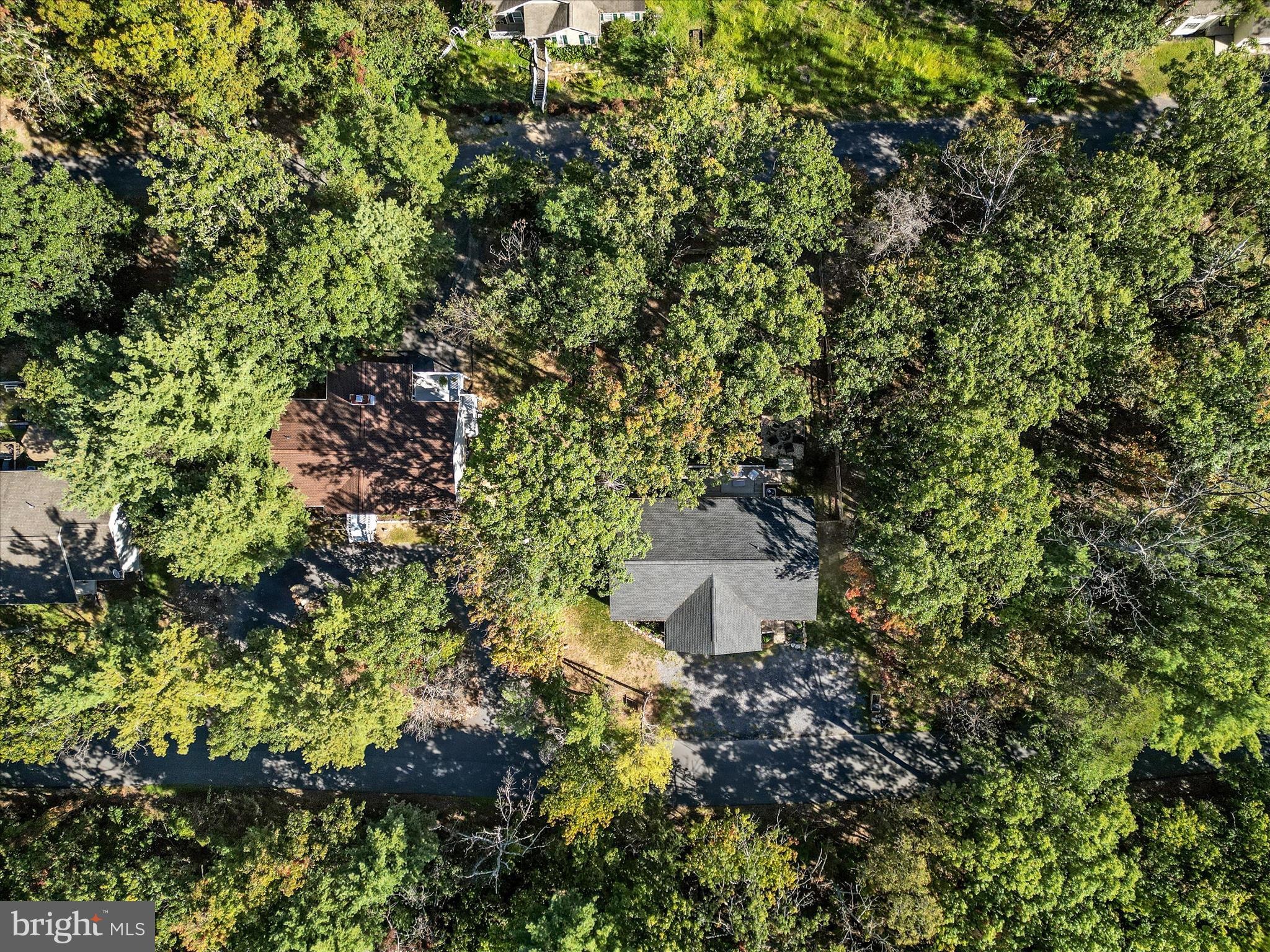 8650 Supinlick Ridge Road Mount Jackson, VA 22842 - Photo 43 of 62 Aerial View