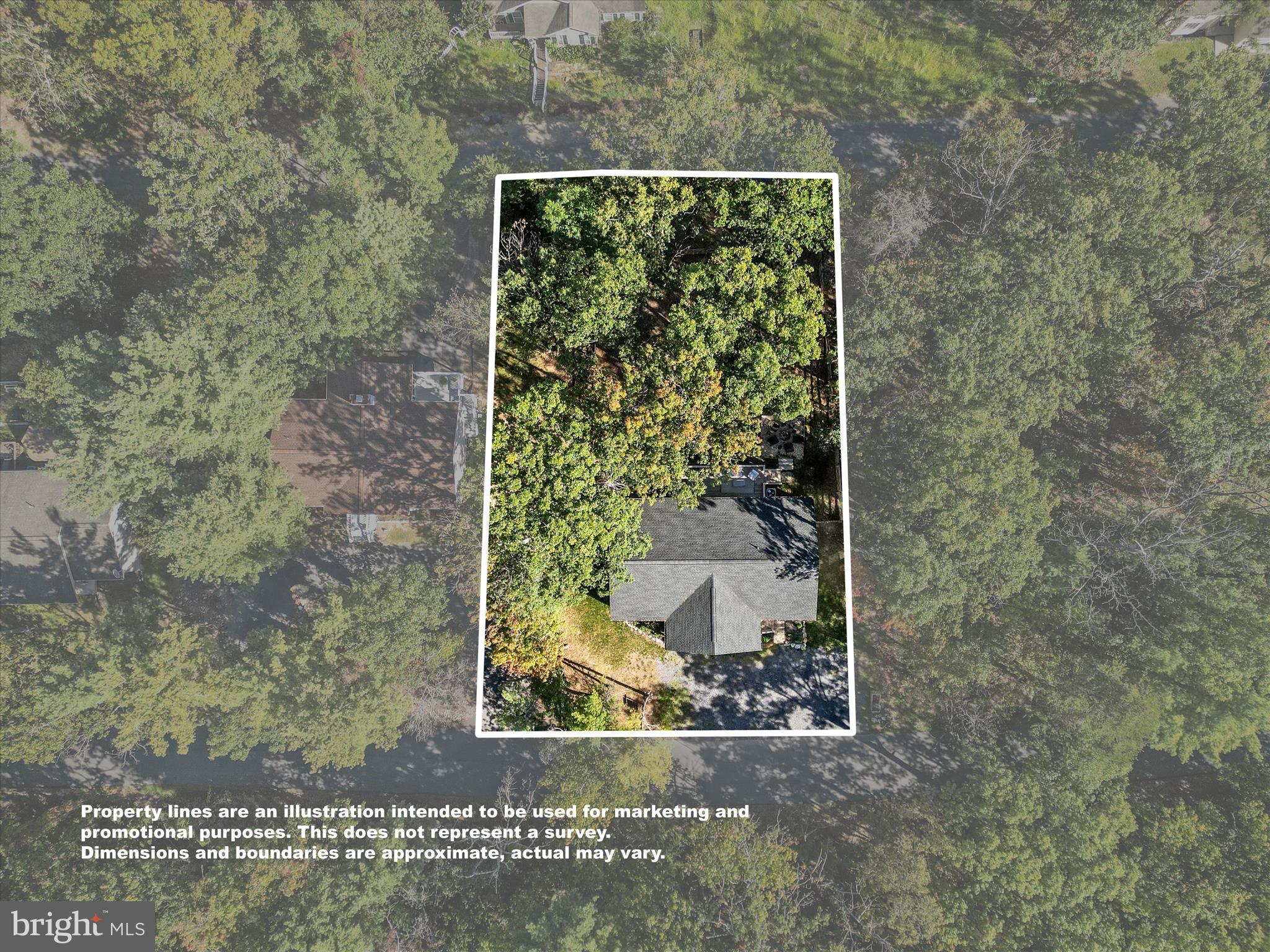 8650 Supinlick Ridge Road Mount Jackson, VA 22842 - Photo 44 of 62 Property Lines