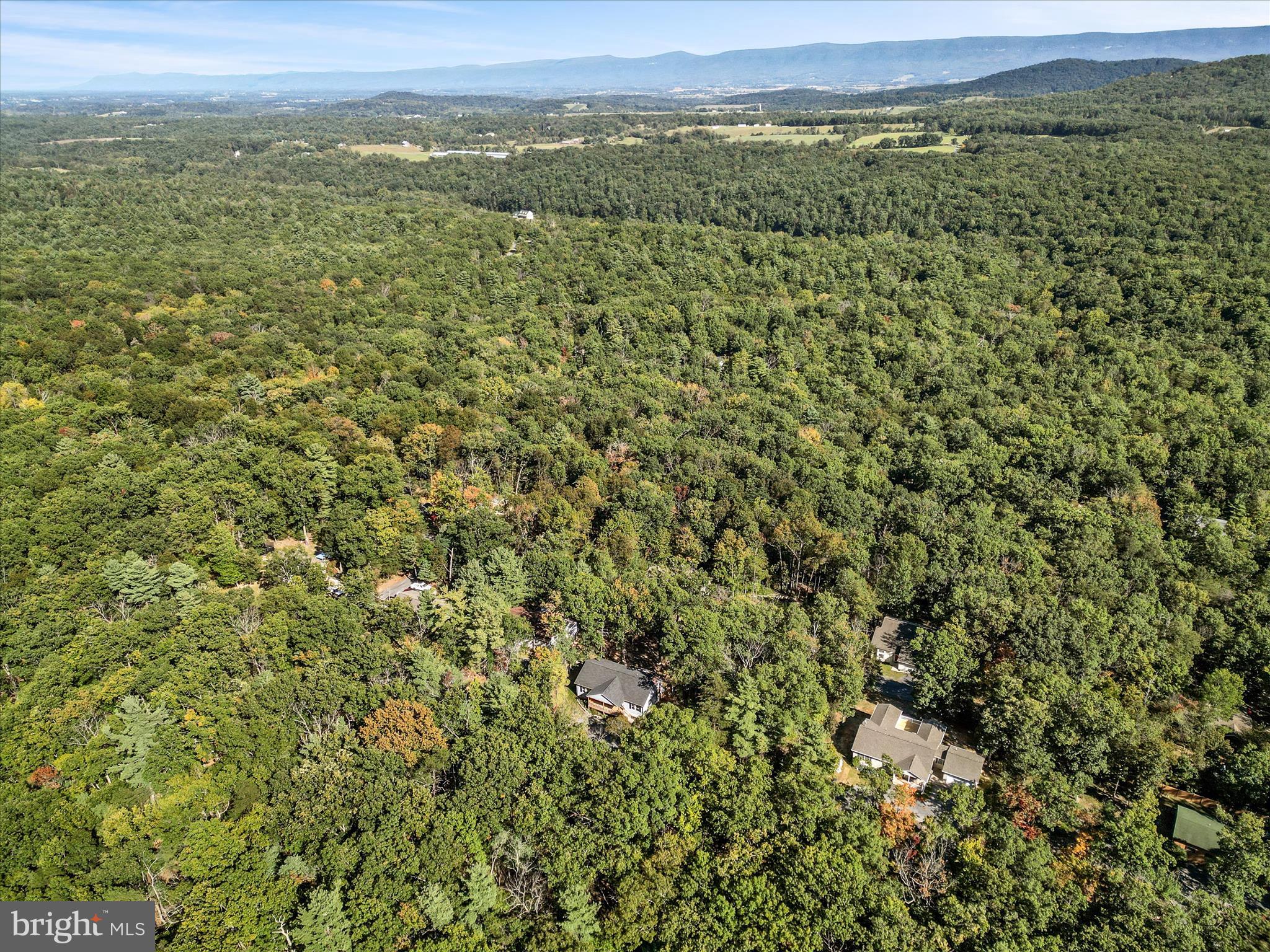 8650 Supinlick Ridge Road Mount Jackson, VA 22842 - Photo 45 of 62 a view of a field with an ocean