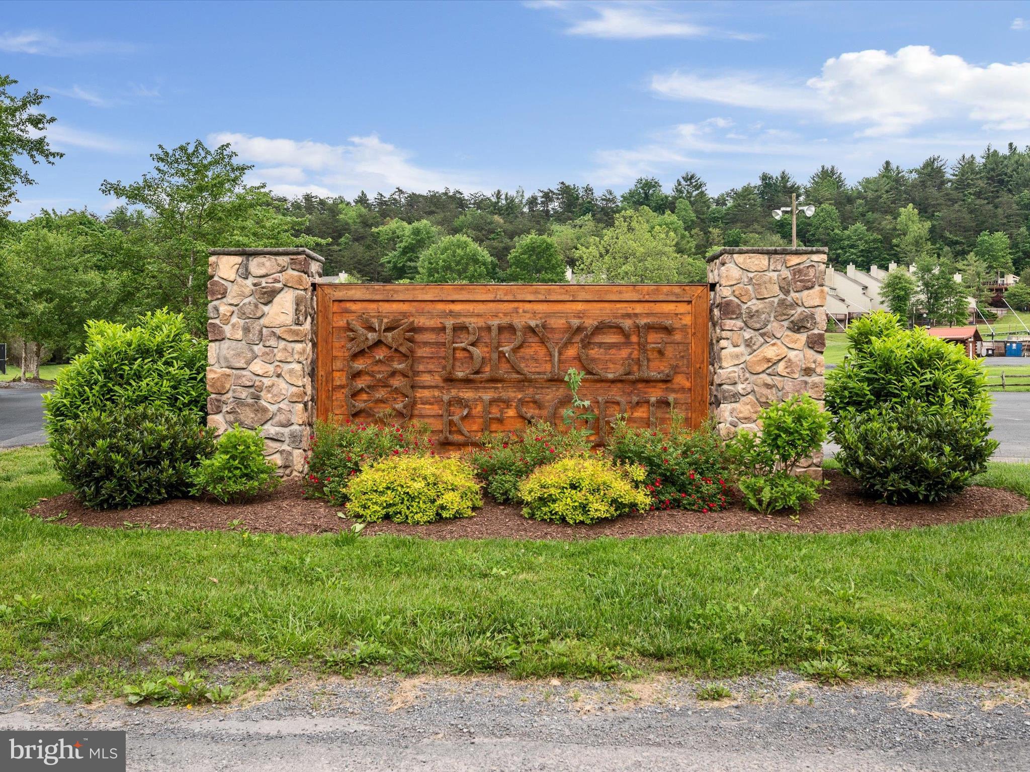 8650 Supinlick Ridge Road Mount Jackson, VA 22842 - Photo 46 of 62 a view of a garden with plants and large trees