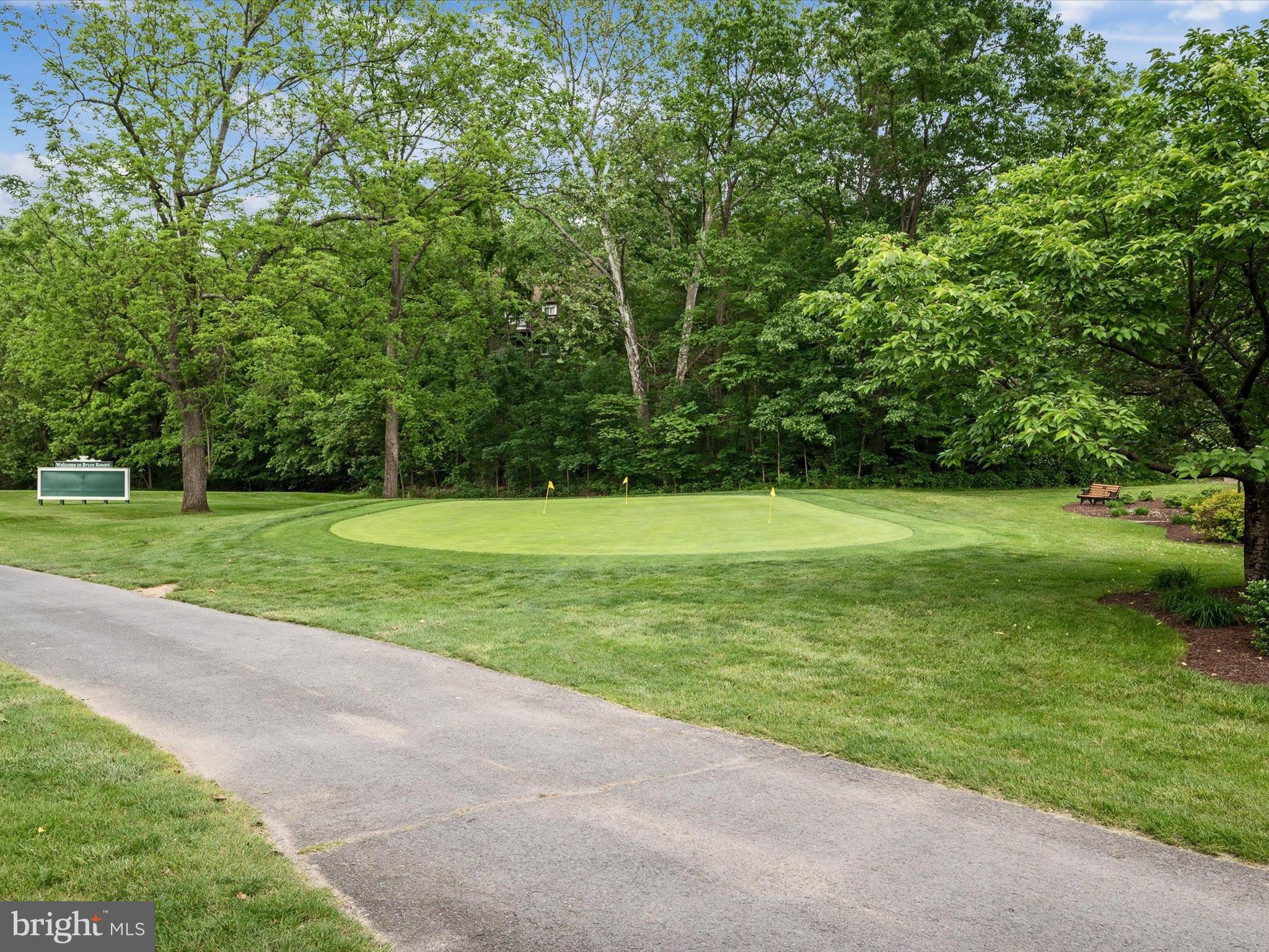 8650 Supinlick Ridge Road Mount Jackson, VA 22842 - Photo 49 of 62 a view of a field with a big trees