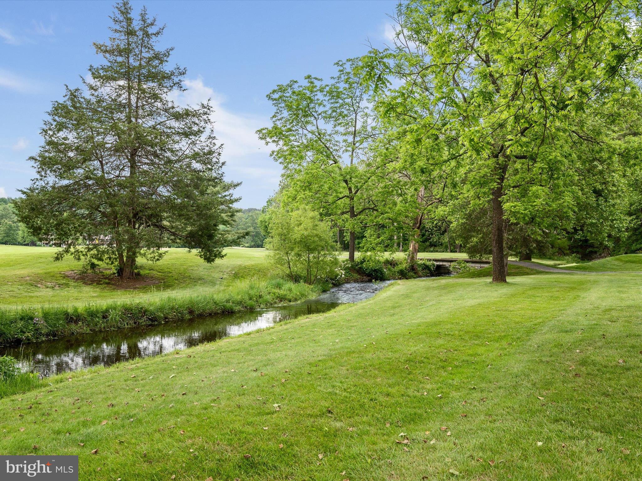 8650 Supinlick Ridge Road Mount Jackson, VA 22842 - Photo 50 of 62 a view of a park with large trees