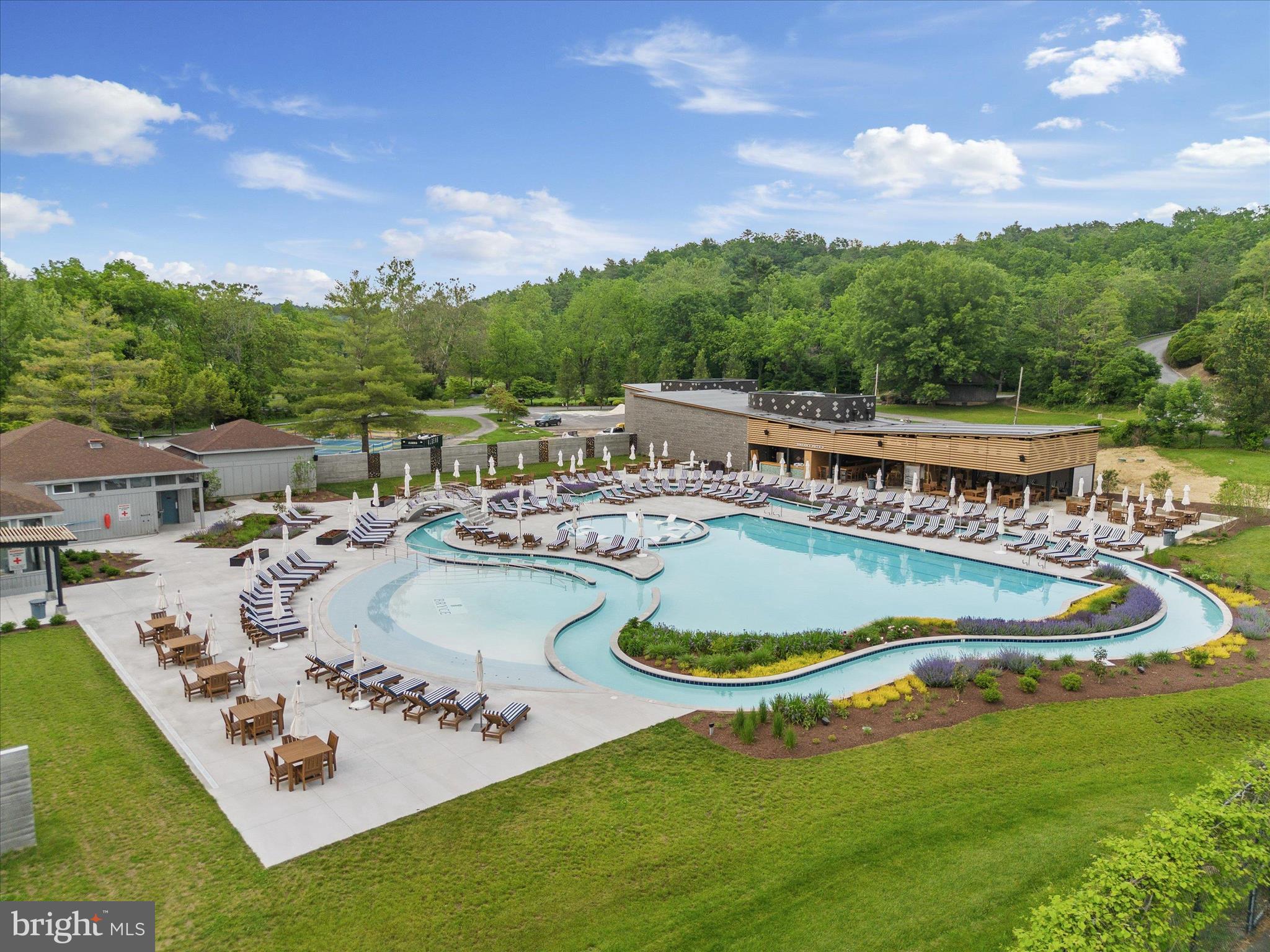 8650 Supinlick Ridge Road Mount Jackson, VA 22842 - Photo 52 of 62 a view of a swimming pool with a yard and lake view