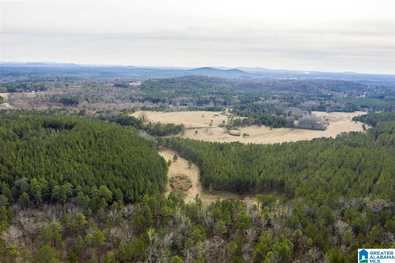 0 Constellation Avenue, Unit 1 Alpine, AL 35014 - Photo 32 of 34