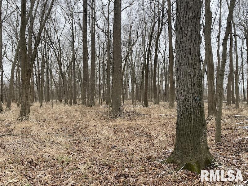 0 North County Road 150 Sumner, IL 62466 - Photo 11 of 18