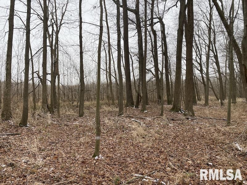 0 North County Road 150 Sumner, IL 62466 - Photo 12 of 18