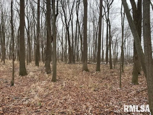 $55,000 | 0 North County Road 150, Sumner, IL 62466