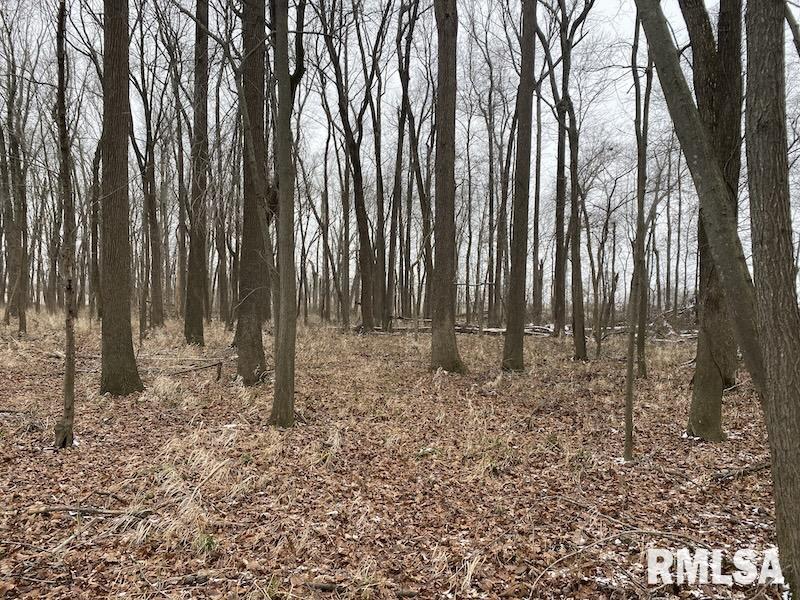 0 North County Road 150 Sumner, IL 62466 - Photo 13 of 18