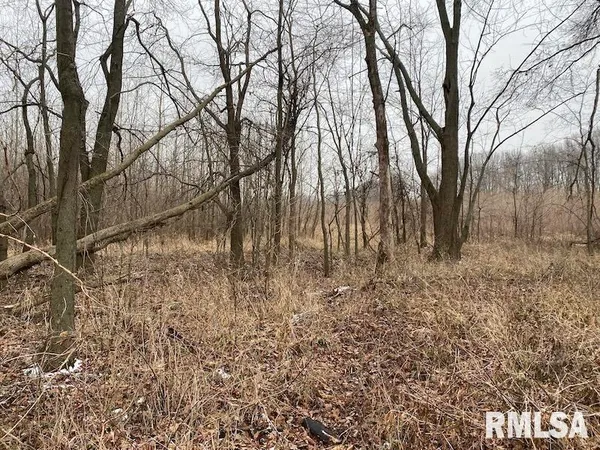 $55,000 | 0 North County Road 150, Sumner, IL 62466
