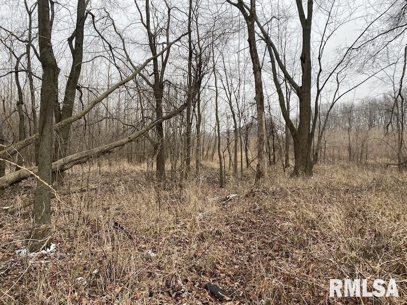 0 North County Road 150 Sumner, IL 62466 - Photo 14 of 18