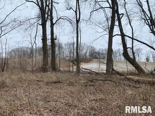 $55,000 | 0 North County Road 150, Sumner, IL 62466