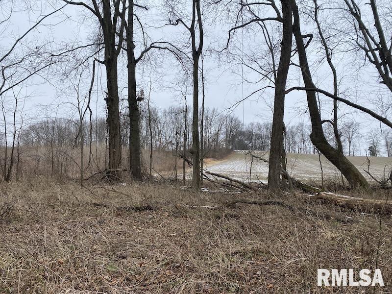 0 North County Road 150 Sumner, IL 62466 - Photo 15 of 18